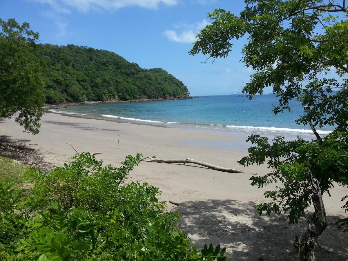 Seahorse Resort Tamarindo Bagian luar foto