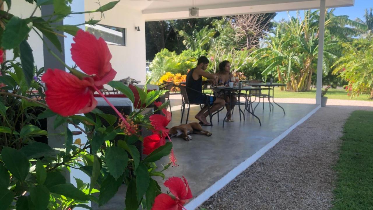 Seahorse Resort Tamarindo Bagian luar foto